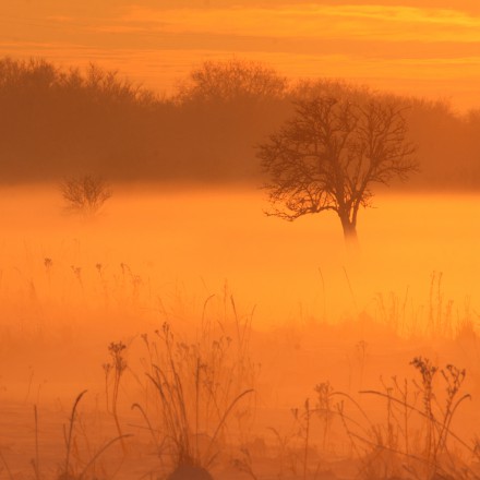 Sneeuwmist in het avondrood