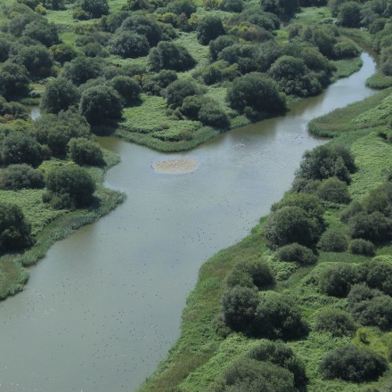 Luchtfoto kreek Markiezaat